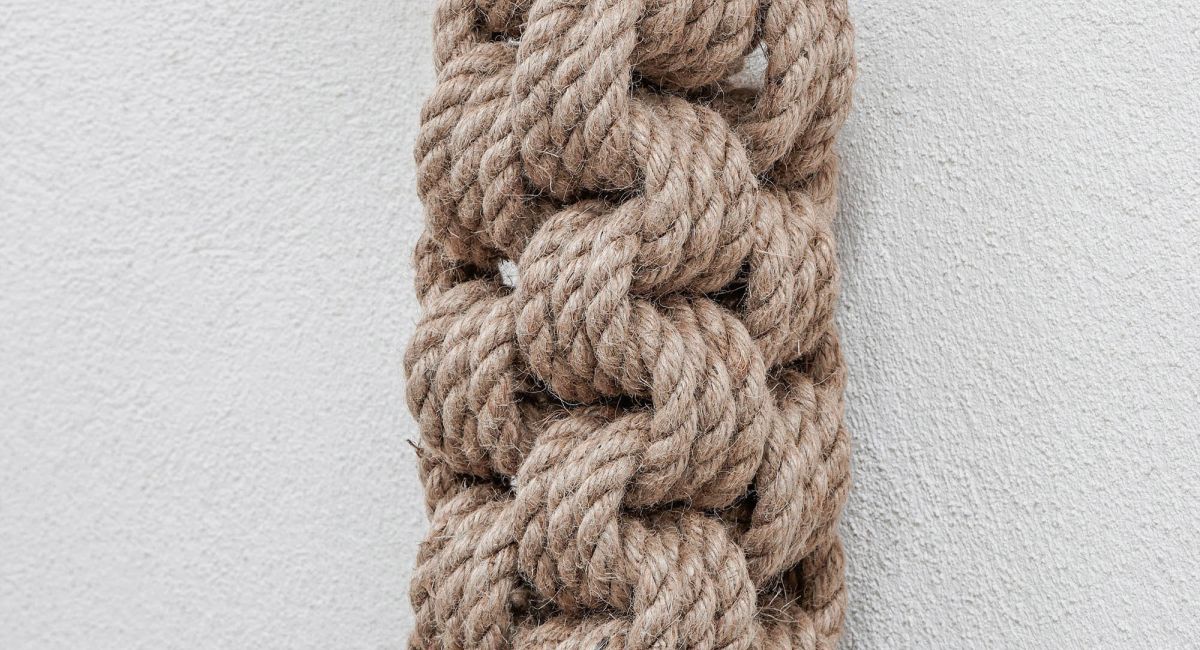 María José Valero - detalle de obra serie "Mi Tierra"
